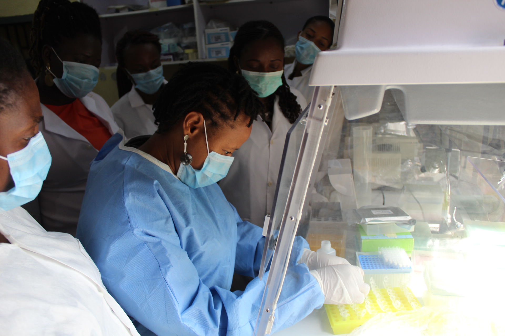 NAVRC begins Dengue Virus detection in patients with febrile illnesses, using ELISA Techniques