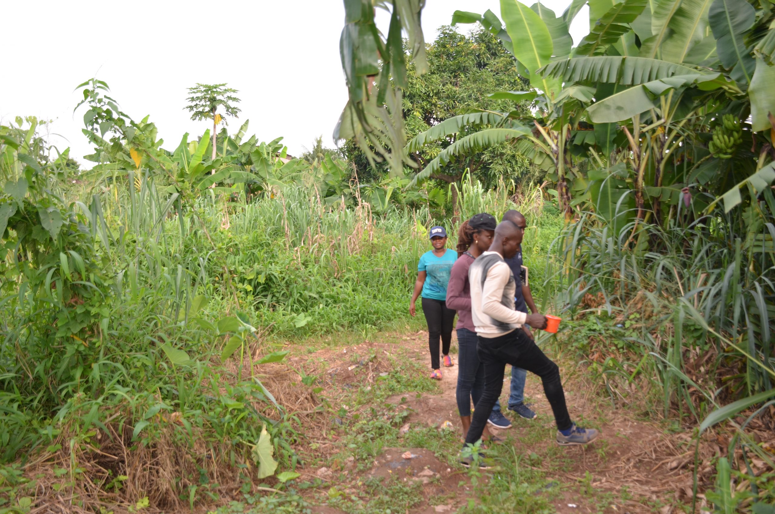 Combating Increasing Insecticides Resistance  in Mosquitoes